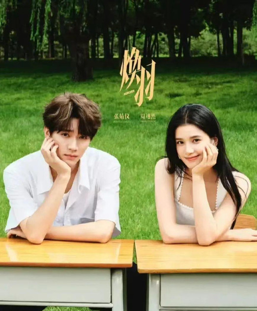 青春与悬疑交织的双向救赎，张婧怡周翊然《焕羽》天选校园文