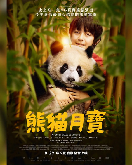 熊猫月亮
